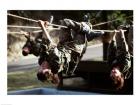 U.S. Air Force Trainees on Obstacle Course