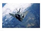 F-117A Stealth Fighter