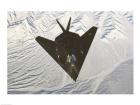 Lockheed F-117 Stealth Fighter