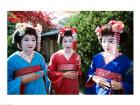 Three geishas, Kyoto, Honshu, Japan