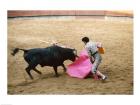 Matador fighting a bull, Plaza de Toros, Ronda, Spain