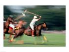 Polo - running horses