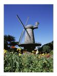 Low angle view of a traditional windmill, Queen Wilhelmina Garden, Golden Gate Park, San Francisco, California, USA