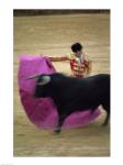 A matador and a bull at a Bullfight, Spain