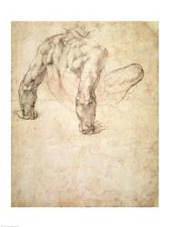 W.63r Study of a male nude, leaning back on his hands | Obraz na stenu