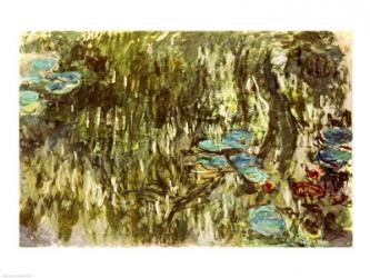 Lily Pond, 1881 | Obraz na stenu