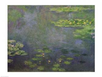 Waterlilies | Obraz na stenu