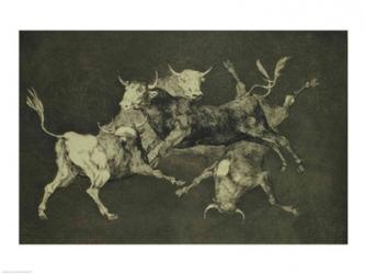 Folly of the Bulls, from the Follies series | Obraz na stenu