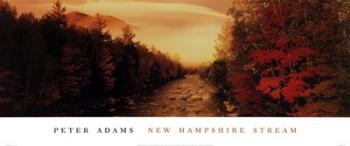 New Hampshire Stream | Obraz na stenu