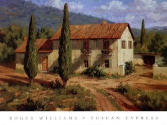 Tuscan Cypress | Obraz na stenu