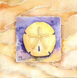 Sand Dollar | Obraz na stenu