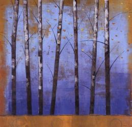 Birch Trees II | Obraz na stenu