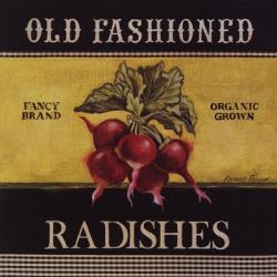Old Fashioned Radishes | Obraz na stenu