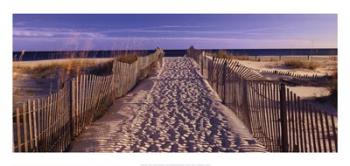 Pathway to the Beach | Obraz na stenu