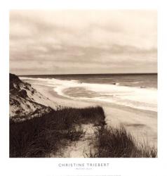 Wellfleet Dune | Obraz na stenu