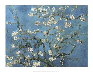 Almond Blossom, 1890 | Obraz na stenu