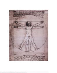 Vitruvian Man, 1492 | Obraz na stenu