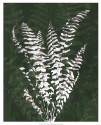 Jewel Ferns I | Obraz na stenu