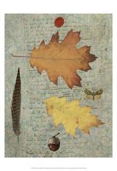 Autumn Leaf III | Obraz na stenu