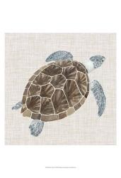 Sea Turtle I | Obraz na stenu