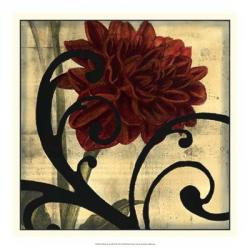 Dahlias & Scrolls III | Obraz na stenu