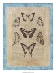 Bookplate Butterflies III | Obraz na stenu