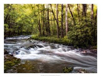 Sunlight on Jake's Creek II | Obraz na stenu