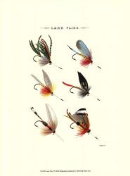 Lake Flies I | Obraz na stenu