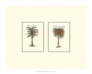 Miniature Palm II | Obraz na stenu