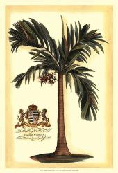 British Colonial Palm I | Obraz na stenu