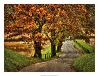 Rainy Morning on Hyatt Lane | Obraz na stenu