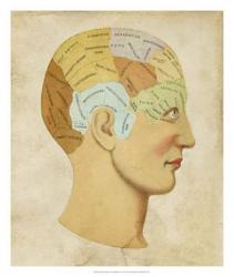 Vintage Phrenology | Obraz na stenu