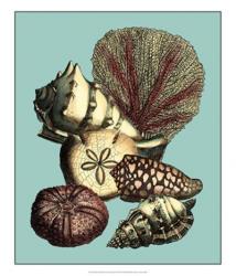 Printed Shell & Coral Collection I | Obraz na stenu