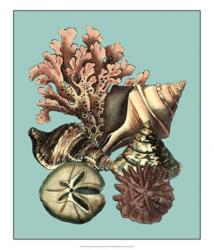 Printed Shell & Coral Collection II | Obraz na stenu