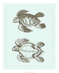 Loggerhead Turtles II | Obraz na stenu