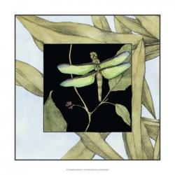 Dragonfly Inset III | Obraz na stenu