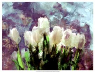 Sunlit Tulips II | Obraz na stenu