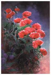 Vibrant Poppies | Obraz na stenu