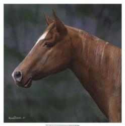 Quarter Horse | Obraz na stenu