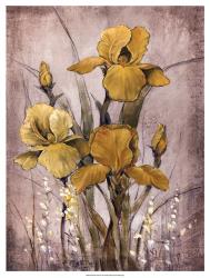 Golden Irises II | Obraz na stenu