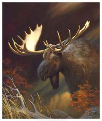Moose Portrait | Obraz na stenu