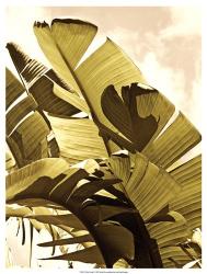 Palm Fronds I | Obraz na stenu