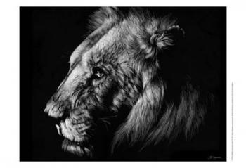 Wildlife Scratchboards I | Obraz na stenu