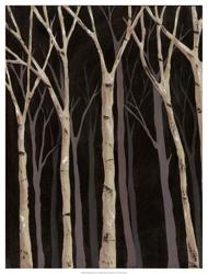 Midnight Birches I | Obraz na stenu