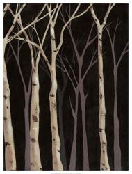 Midnight Birches II | Obraz na stenu