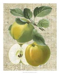 Orchard Medley I | Obraz na stenu