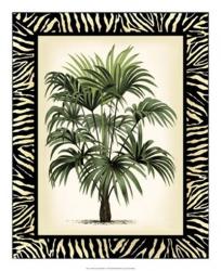 Palm in Zebra Border I | Obraz na stenu