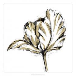 Tulip Sketch III | Obraz na stenu