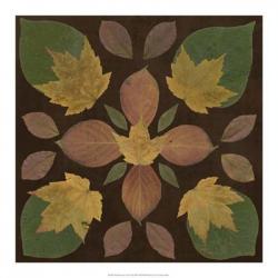 Kaleidoscope Leaves II | Obraz na stenu