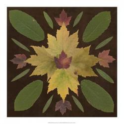 Kaleidoscope Leaves IV | Obraz na stenu